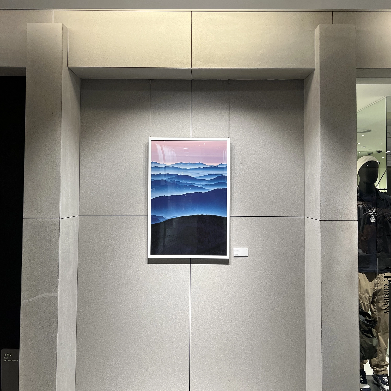 롯데백화점